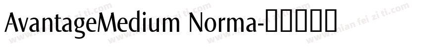 AvantageMedium Norma字体转换